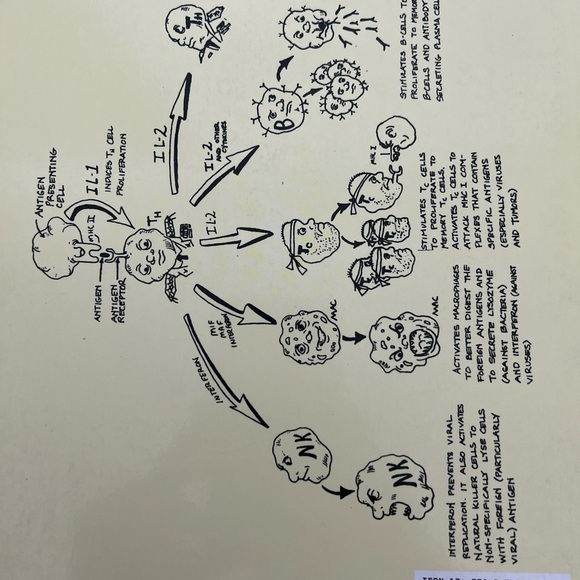 Clinical Physiology Made Ridiculously Simple by Stephen Goldberg 2nd Edition - Picture 3 of 3